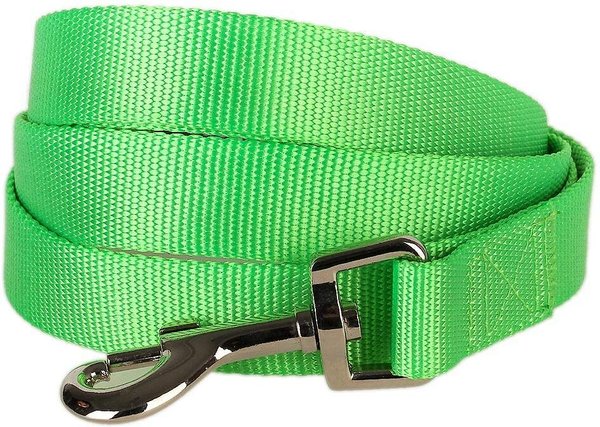 Blueberry Pet Classic Solid Nylon Dog Leash, Neon Green, Medium: 5-ft long, 3/4-in wide slide 1 of 5