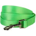 Blueberry Pet Classic Solid Nylon Dog Leash, Neon Green, Medium: 5-ft long, 3/4-in wide