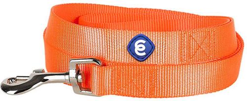 Show full view: Blueberry Pet Classic Solid Nylon Dog Leash, Florence Orange, Medium: 5-ft long, 3/4-in wide slide 3 of 6