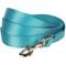 Show in main carousel: Blueberry Pet Classic Solid Nylon Dog Leash, Turquoise, Medium: 5-ft long, 3/4-in wide slide 1 of 6
