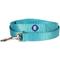 Show in main carousel: Blueberry Pet Classic Solid Nylon Dog Leash, Turquoise, Medium: 5-ft long, 3/4-in wide slide 3 of 6