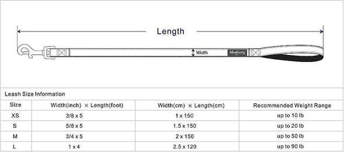 Show full view: Blueberry Pet Classic Solid Nylon Dog Leash, Turquoise, Medium: 5-ft long, 3/4-in wide slide 4 of 6