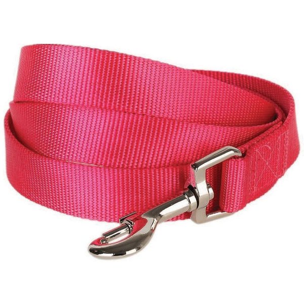 Salmon Pink Leash - Luxurious leather dog leash in salmon pink