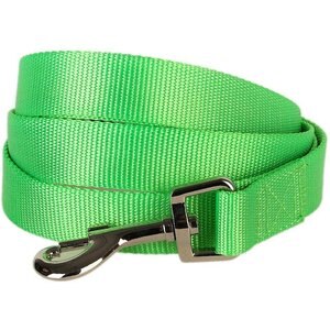 Blueberry Pet Classic Solid Nylon Dog Leash, Neon Green, Large: 4-ft long, 1-in wide