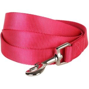 Blueberry Pet Classic Solid Nylon Dog Leash, French Pink, Large: 4-ft long, 1-in wide