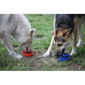 Mr. Peanut's Premium Collapsible Non-Skid Silicone Dog & Cat Bowls, 1.5-cup, 3 count