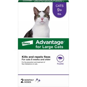 Advantage Topical Flea Prevention for Large Cats, 9 lbs+, 2-Monthly Treatments
