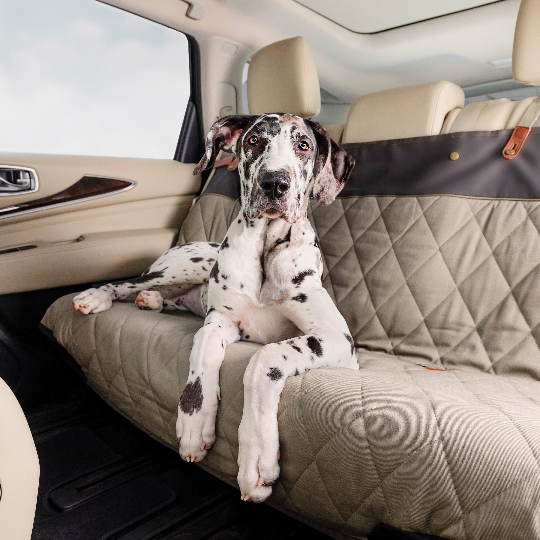 Petsafe happy ride quilted bench seat cover discount