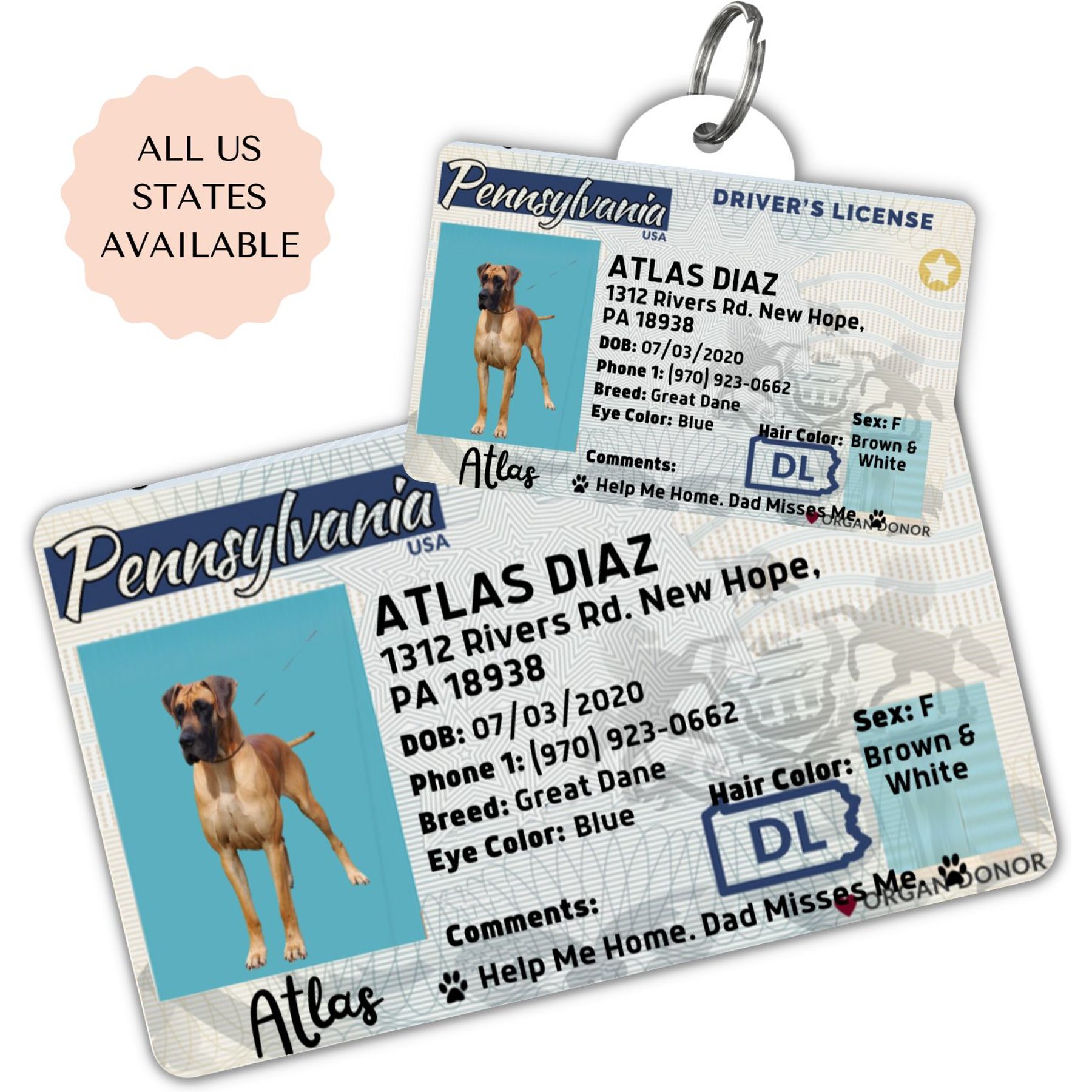 Chewy dog id tags shops