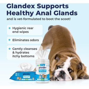 Vetnique Labs Glandex Wipes Rear End Anal Gland Cleansing & Deodorizing Hygienic Rear End Boot the Scoot Dog & Cat Wipes, 75 count