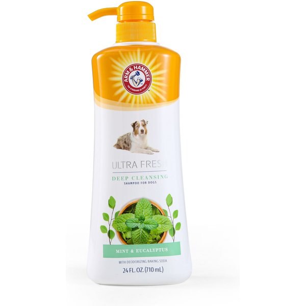 ARM & HAMMER Value Size Ultra Fresh 2IN1 with Pump Detangling Dog