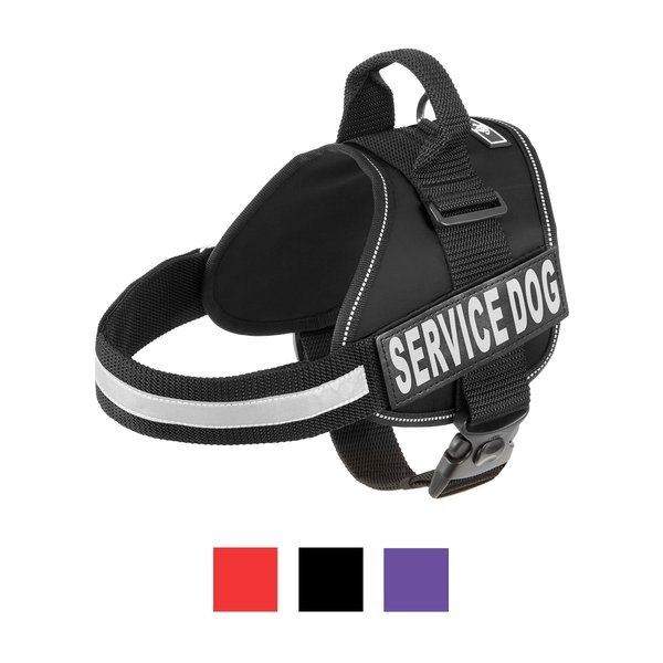 Chewy service cheap dog harness