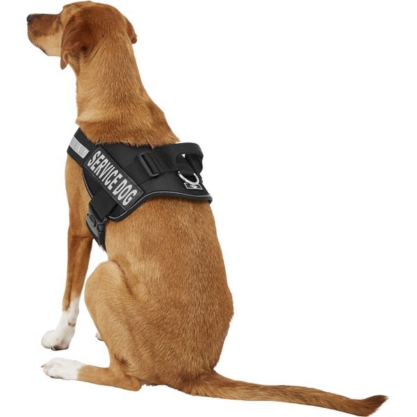 chewy service dog harness