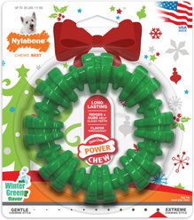 Nylabone Christmas Holiday Power Chew Textured Ring Dog Toy, Green, Small/Regular