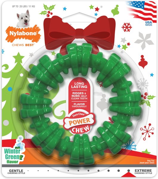 Nylabone Power Play Ring Thing Floatable Dog Toy