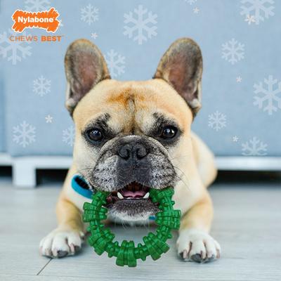 Show full view: Nylabone Christmas Holiday Power Chew Textured Ring Dog Toy, Green, Small/Regular slide 2 of 9