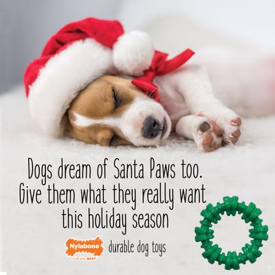 Show full view: Nylabone Christmas Holiday Power Chew Textured Ring Dog Toy, Green, Small/Regular slide 4 of 9