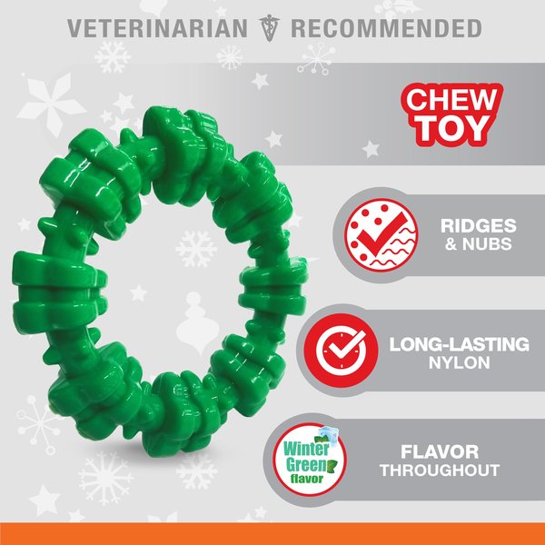 Nylabone Christmas Holiday Power Chew Textured Ring Dog Toy, Green, Small/Regular