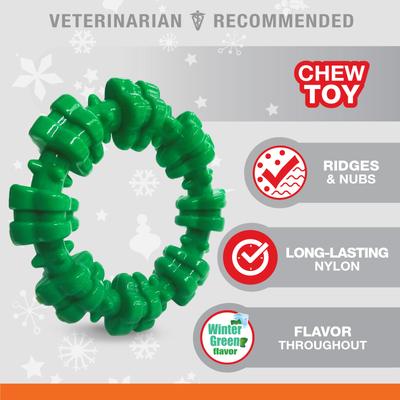 Show full view: Nylabone Christmas Holiday Power Chew Textured Ring Dog Toy, Green, Small/Regular slide 5 of 9
