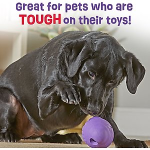 Brightkins Gnome Tough & Tumble Treat Dispenser Dog Toy, Large, Purple