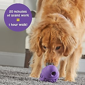 Brightkins Gnome Tough & Tumble Treat Dispenser Dog Toy, Large, Purple