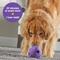 Show in main carousel: Brightkins Gnome Tough & Tumble Treat Dispenser Dog Toy, Large, Purple slide 5 of 8