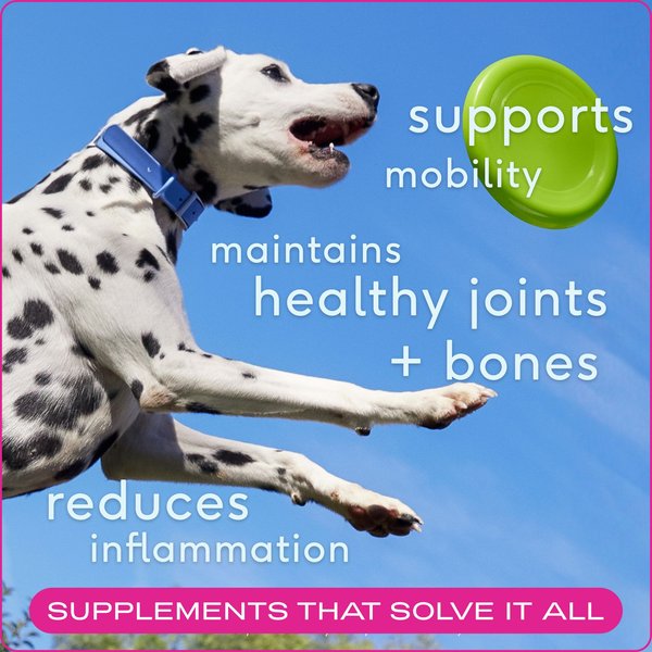 Native Pet Hip & Joint Chews with Glucosamine Joint Supplement for Dogs