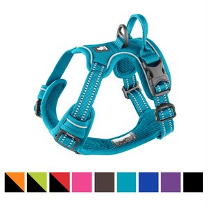 Chai's Choice Premium Outdoor Adventure 3M Polyester Reflective Front Clip Dog Harness, Teal Blue, X-Small: 13 to 17-in chest