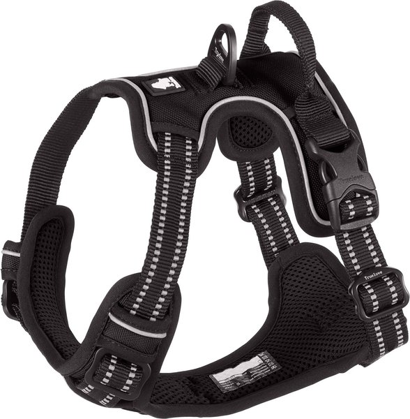 Outdoor dog harness best sale