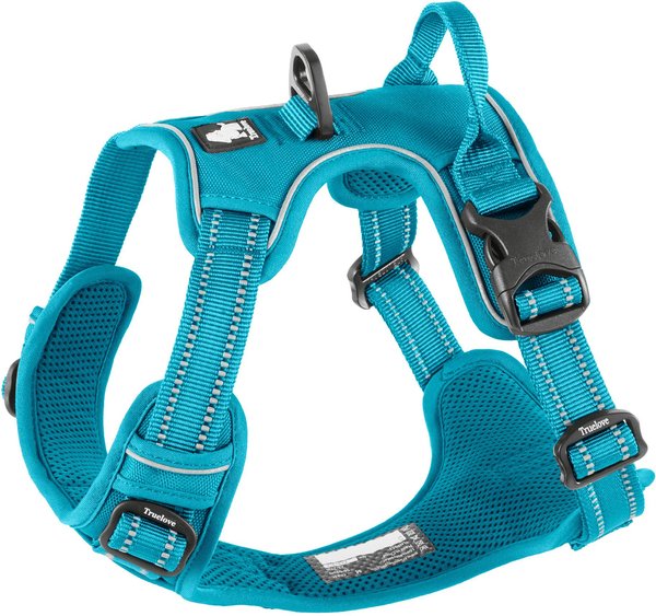 Chai's Choice Premium Outdoor Adventure 3M Polyester Reflective Front Clip Dog Harness, Teal Blue, Medium: 22 to 27-in chest slide 1 of 11