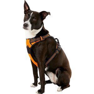 Chai's Choice Premium Outdoor Adventure 3M Polyester Reflective Front Clip Dog Harness, Orange, Large: 27 to 32-in chest