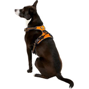 Chai's Choice Premium Outdoor Adventure 3M Polyester Reflective Front Clip Dog Harness, Orange, Large: 27 to 32-in chest