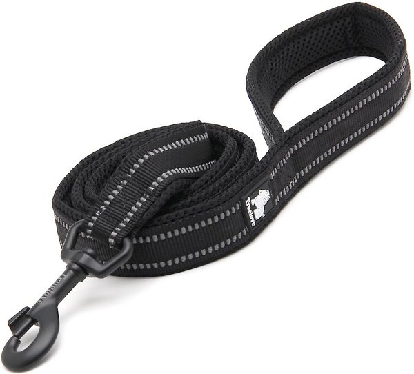 Chai's Choice Premium Outdoor Adventure Padded 3M Polyester Reflective Dog Leash, Black, 3.6-ft long, 4/5-in wide slide 1 of 5