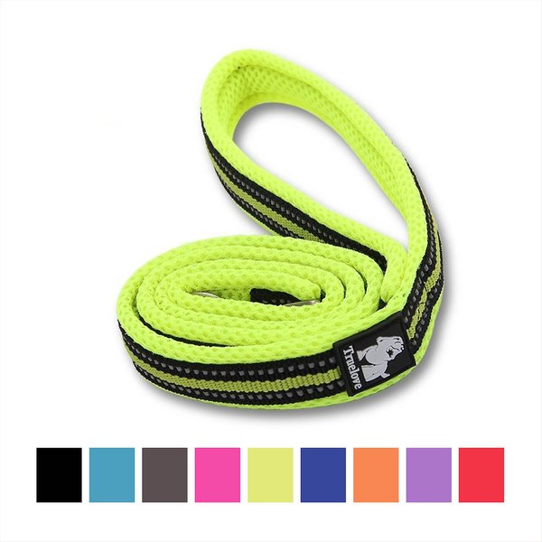 Chai's Choice Premium Outdoor Adventure Padded 3M Polyester Reflective Dog Leash, Green, 3.6-ft long, 4/5-in wide slide 1 of 6