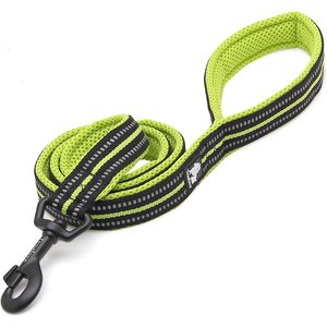 Chai's Choice Premium Outdoor Adventure Padded 3M Polyester Reflective Dog Leash, Green, 6.5-ft long, 4/5-in wide