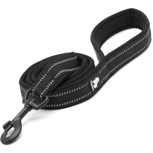 PETSAFE Cotton Dog Training Lead, Black, 15-ft long, 5/8-in wide ...