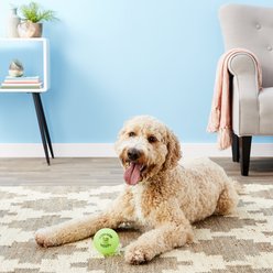 Spunky Pup Fetch & Glow Ball Dog Toy, Large slide 2 of 5