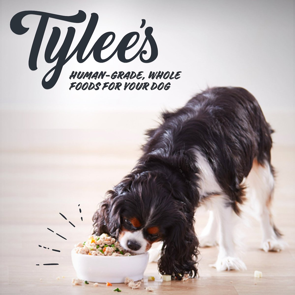 TYLEE'S HumanGrade Chicken Recipe Frozen Dog Food, 96oz bag