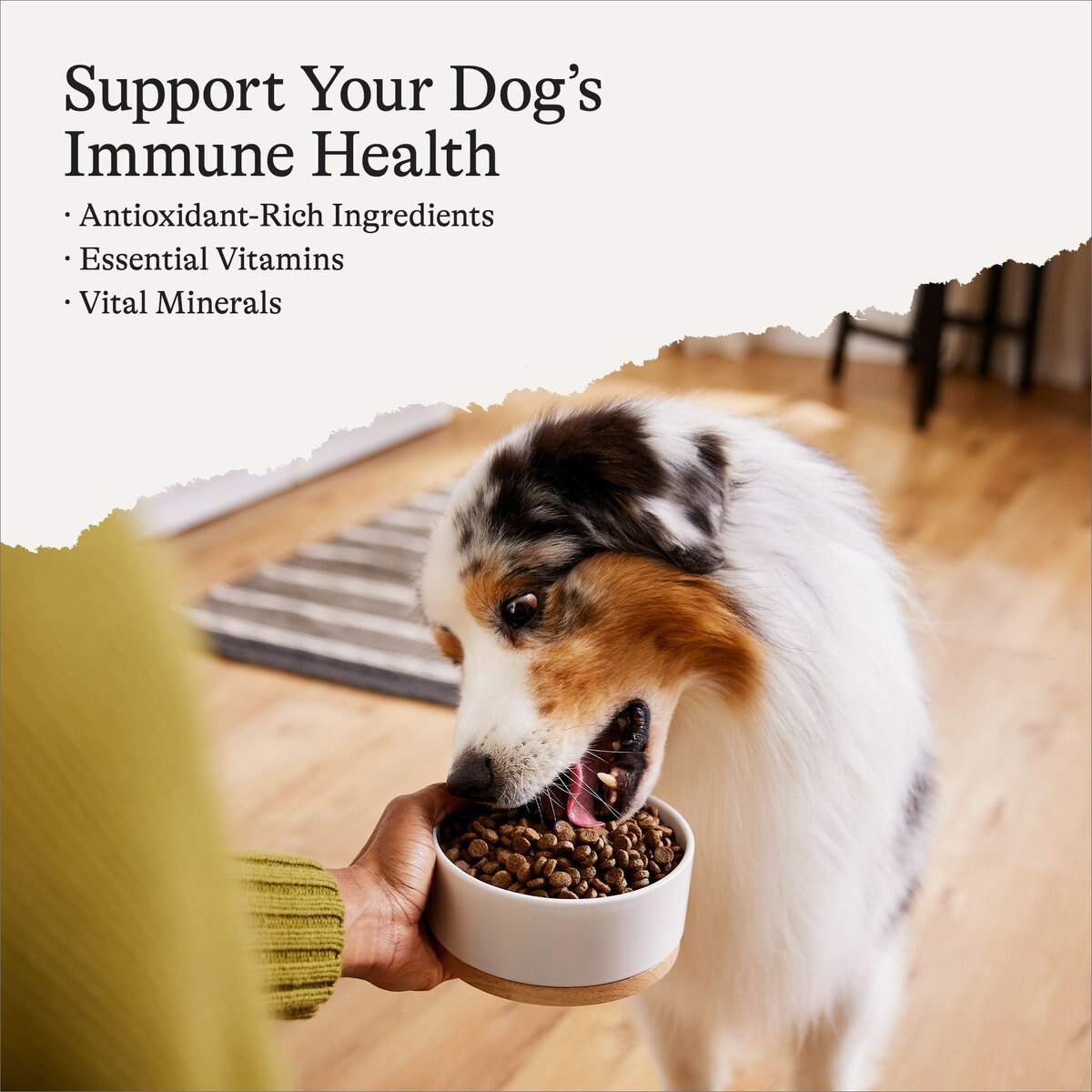 AMERICAN JOURNEY GrainFree Beef & Sweet Potato Recipe Dry Dog Food, 12
