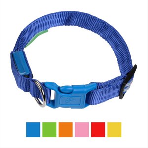 Illumiseen LED USB Rechargeable Nylon Dog Collar, Blue, XX-Small: 8.6 to 11.4-in neck