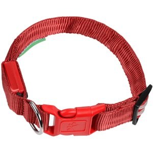 Illumiseen LED USB Rechargeable Nylon Dog Collar, Red, XX-Small: 8.6 to 11.4-in neck