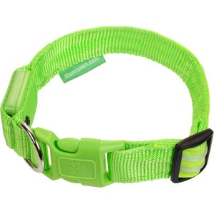 Illumiseen LED USB Rechargeable Nylon Dog Collar, Green, Small: 13 to 17-in neck