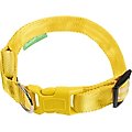 Illumiseen LED USB Rechargeable Nylon Dog Collar, Yellow, Medium: 16 to 20-in neck