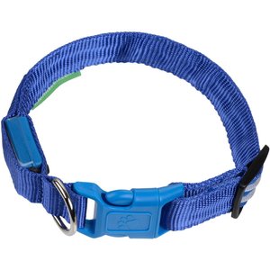 Illumiseen LED USB Rechargeable Nylon Dog Collar