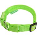 Illumiseen LED USB Rechargeable Nylon Dog Collar, Green, Large: 19 to 24-in neck