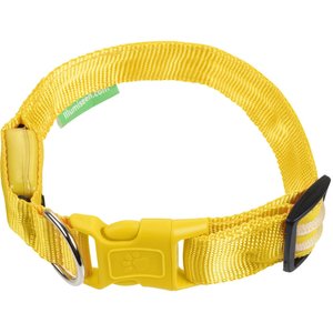 Illumiseen LED USB Rechargeable Nylon Dog Collar, Yellow, Large: 19 to 24-in neck