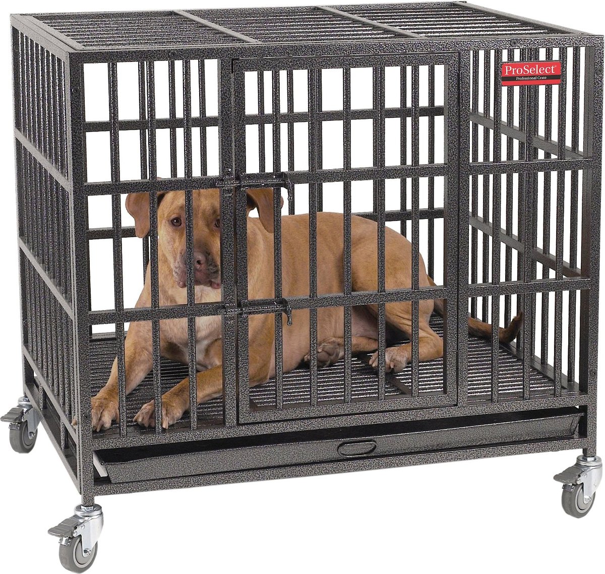 Proselect empire hot sale dog crate