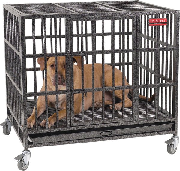 ProSelect Empire Single Door Steel Dog Crate