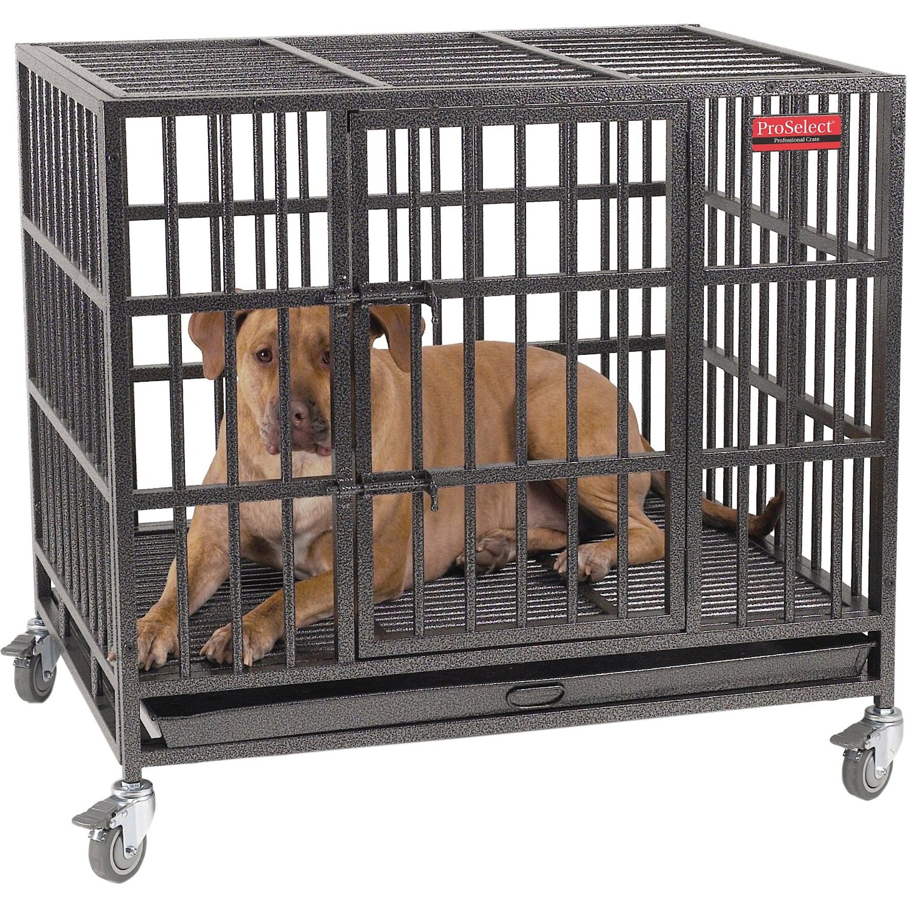  LUCKUP Empire Heavy Duty Dog Cage Metal Kennel and Crate for  Medium and Large Dogs, Pet Playpen with Four Wheels, Easy to Install, 38  inch, Black : Pet Supplies