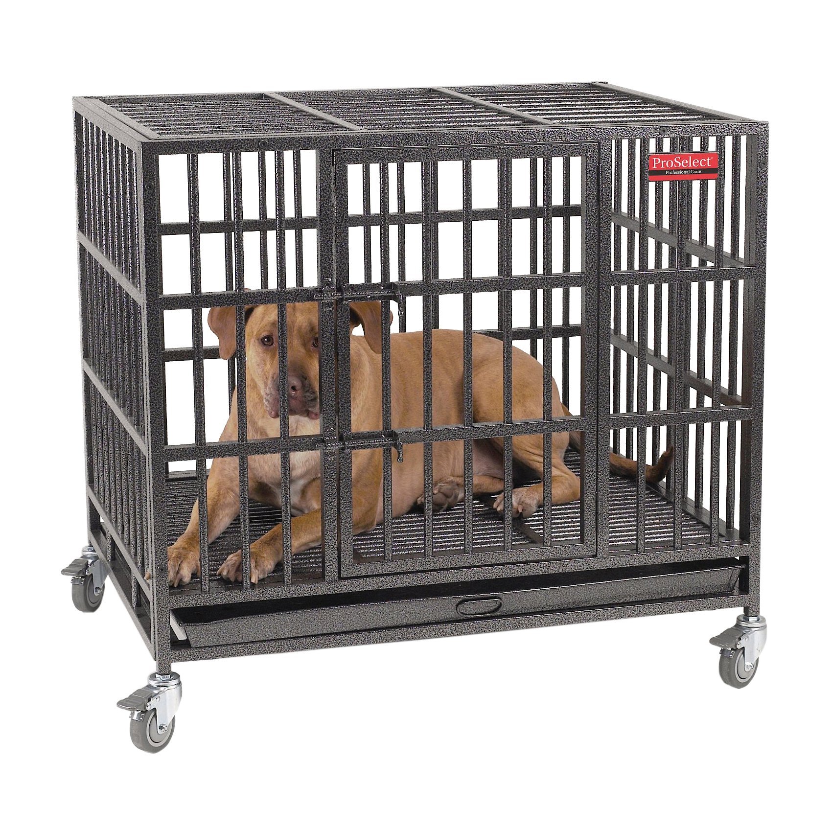 Empire pro store select dog crate